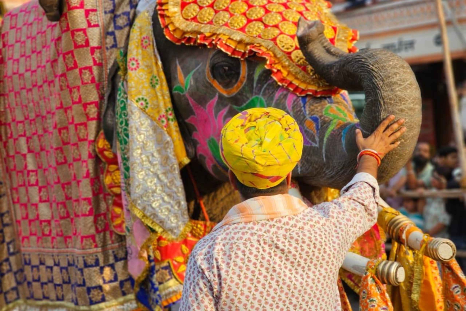From Jaipur : Morning Sunrise with Jaipur Flower Market Tour