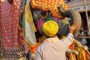 Jaipurista : Aamuauringonnousu Jaipurin kukkamarkkinakierroksella