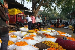 From Jaipur : Morning Sunrise with Jaipur Flower Market Tour