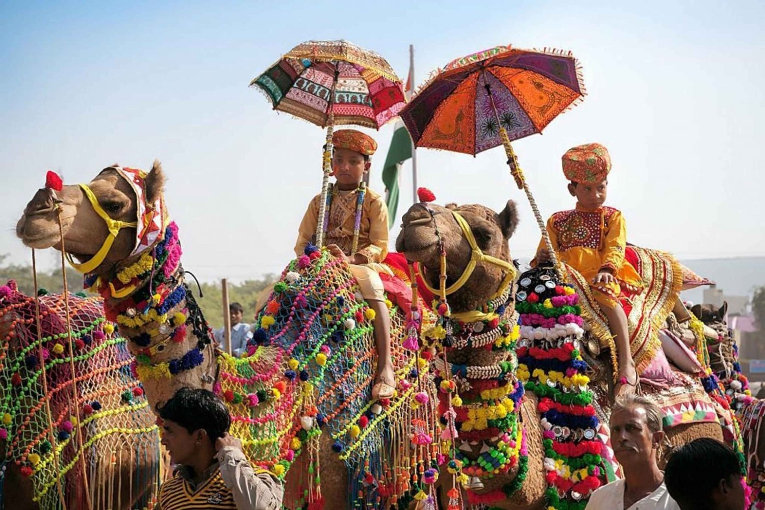 From Jaipur: One-Day Trip From Jaipur to Pushkar