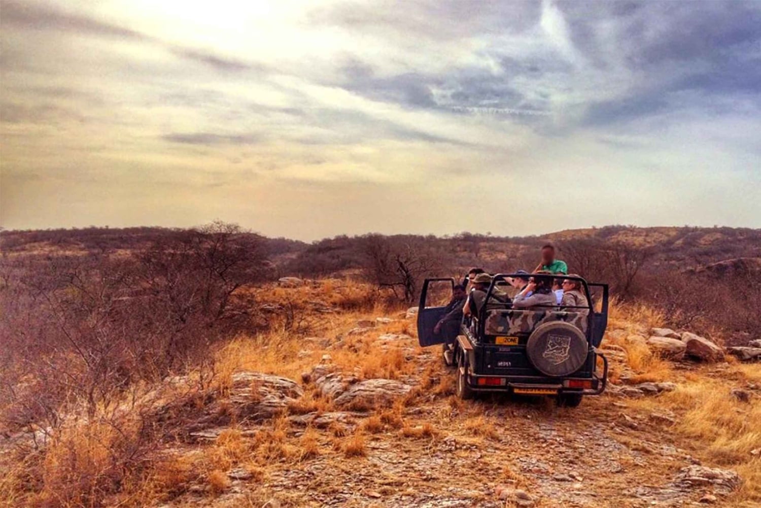 Vanuit Jaipur: privé Ranthambore-tour per Jeep Canter Safari