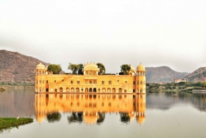 From Jaipur: 2-Day Ranthambore Tiger Safari Tours India