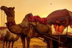 Au départ de Jaipur : visite privée d'Ajmer et Pushkar en taxi