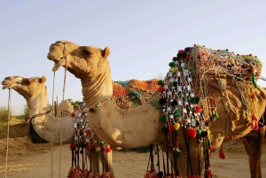 From Jaipur : Private Ajmer Pushkar Tour by Cab