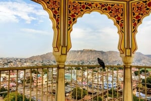 From Jaipur: Private Amber Fort, Jal Mahal and More Car Tour