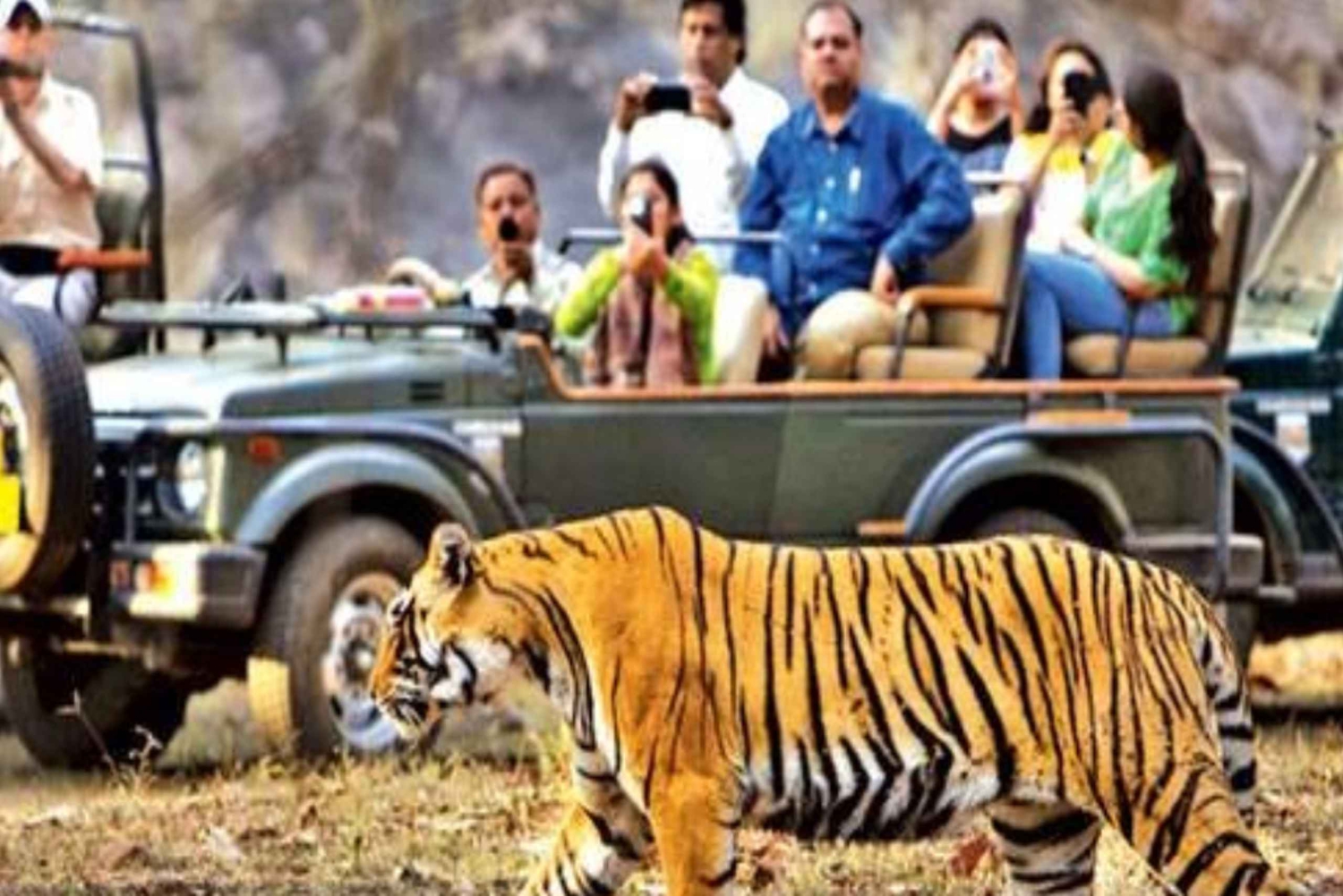 Desde Jaipur: Excursión Privada al Parque de Ranthambore con Safari en Tigre