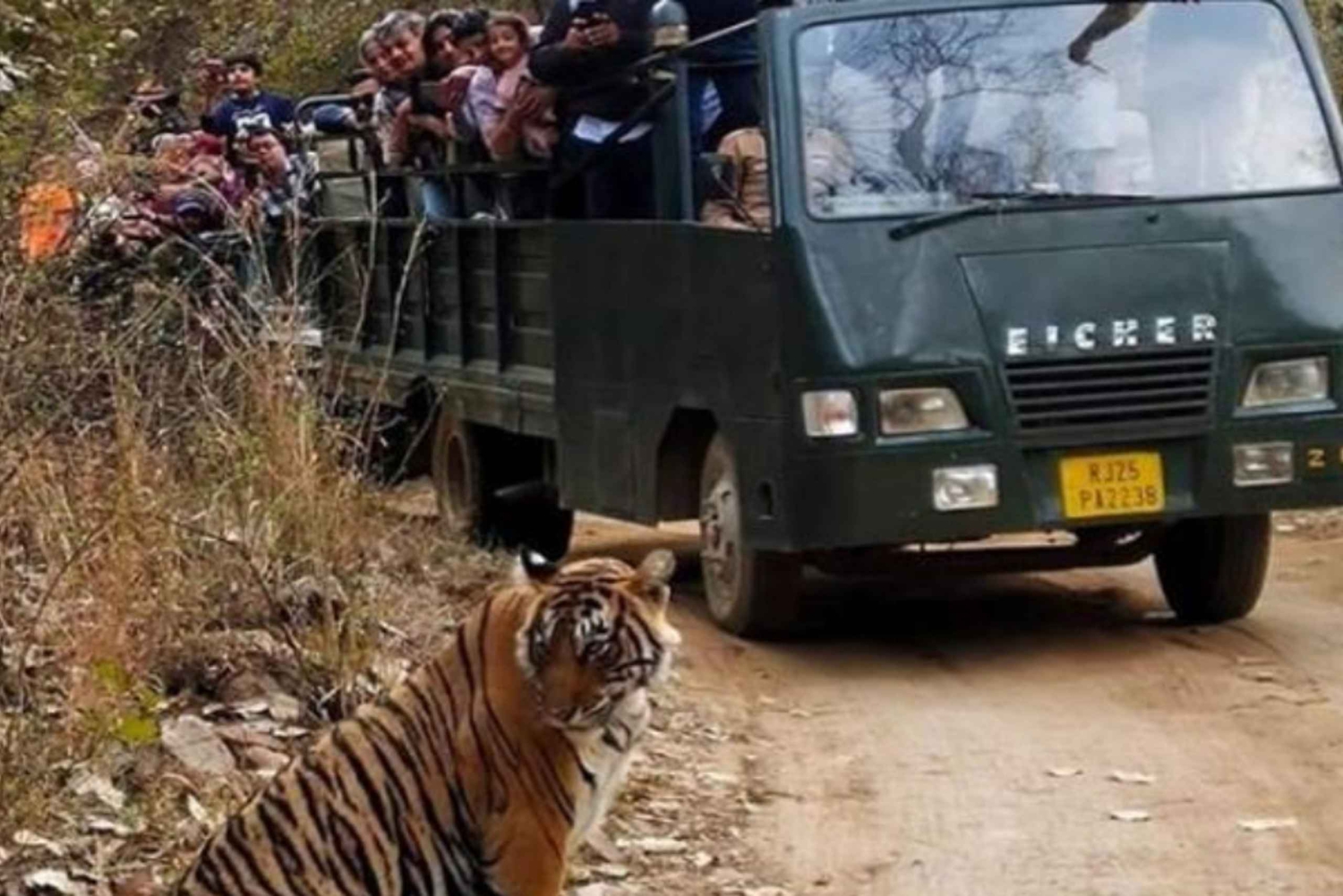Desde Jaipur: Excursión Privada al Parque de Ranthambore con Safari en Tigre