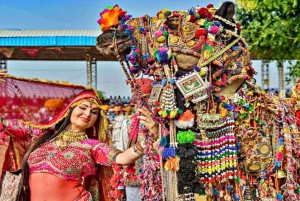 De Jaipur: passeio privado de um dia em Ajmer e Pushkar