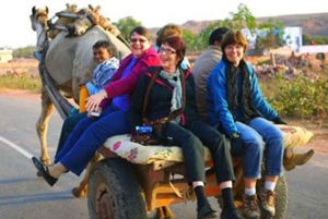 De Jaipur: passeio privado de um dia em Ajmer e Pushkar