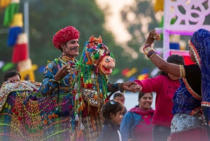 De Jaipur: passeio privado de um dia em Ajmer e Pushkar