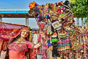 De Jaipur: passeio privado de um dia em Ajmer e Pushkar