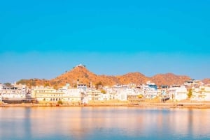 De Jaipur: passeio privado de um dia em Ajmer e Pushkar