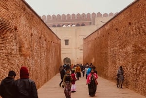 From Jaipur: Private Tajmahal Sunrise & Agra CityTour By Car