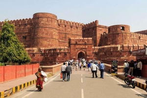 From Jaipur: Private Tajmahal Sunrise & Agra CityTour By Car