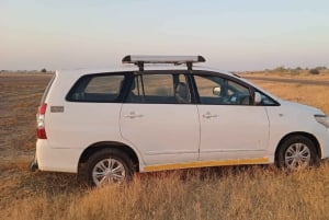 Desde Jaipur: Traslado Privado a Ranthambore desde Jaipur