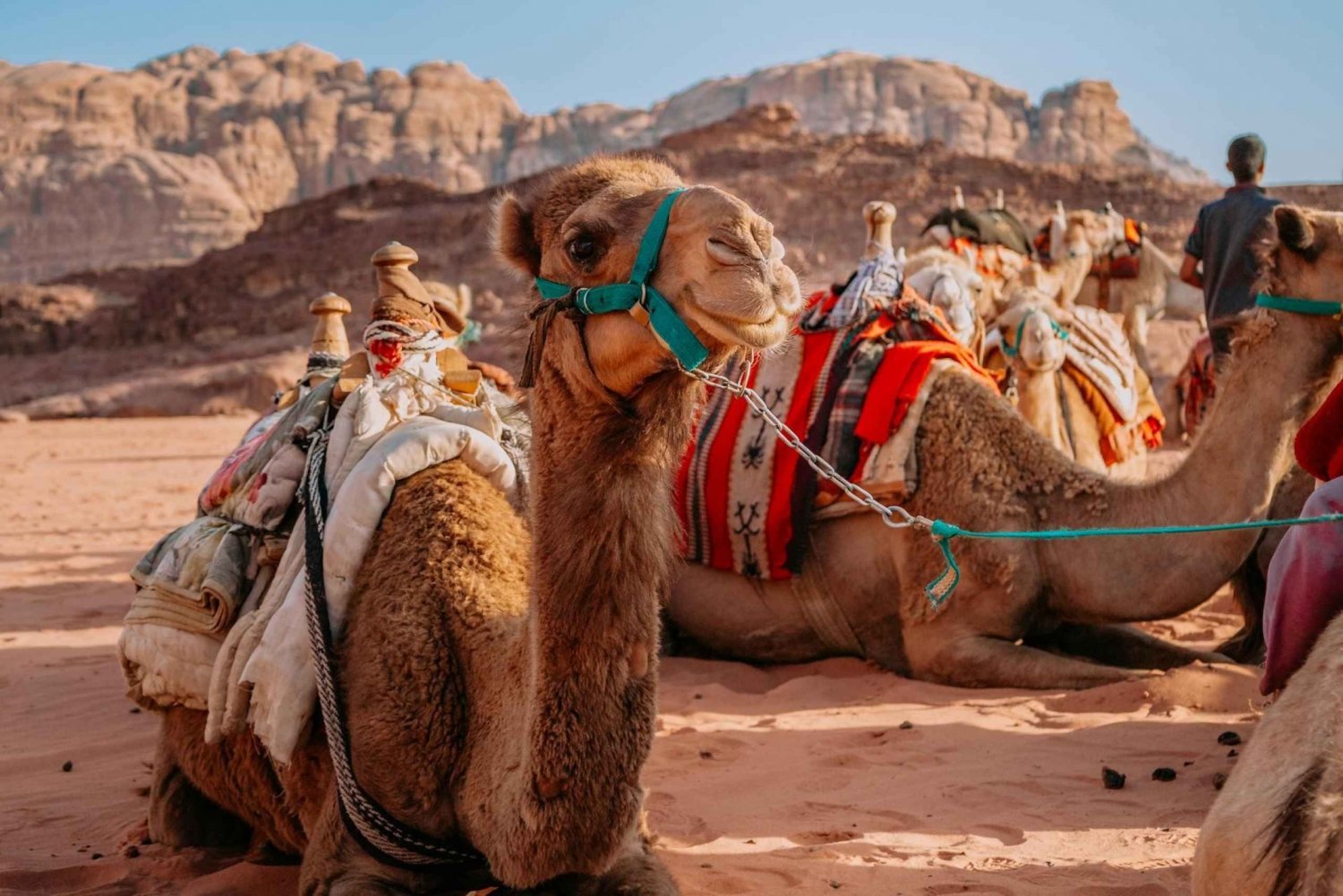 Jaipurista: Pushkar ja Ajmer Yksityinen päiväretki: Pushkar ja Ajmer