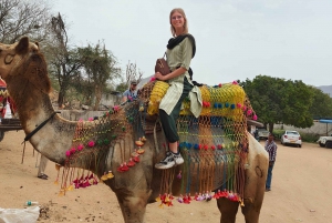 Jaipurista: Pushkar ja Ajmer Yksityinen päiväretki: Pushkar ja Ajmer