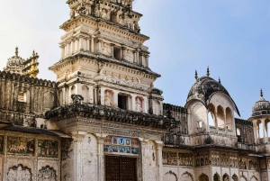 Jaipurista: Pushkar ja Ajmer Yksityinen päiväretki: Pushkar ja Ajmer