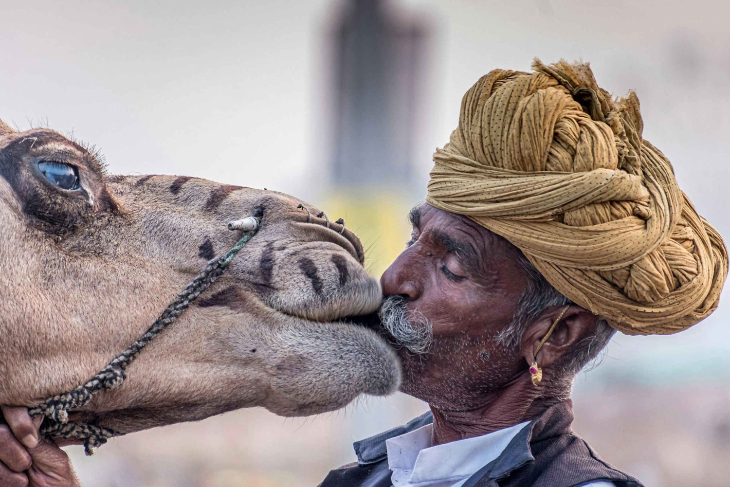Desde Jaipur: Pushkar y Ajmer Excursión de un día en privado