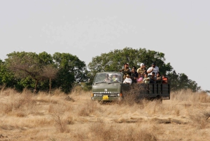 ジャイプール発：タクシー付きランタンボール ツアー