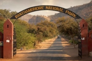 ジャイプール発：タクシー付きランタンボール ツアー