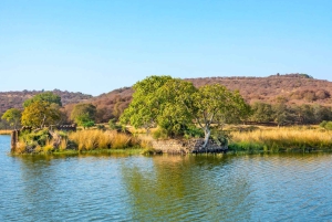 ジャイプール発：タクシー付きランタンボール ツアー