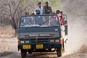 ジャイプール発：タクシー付きランタンボール ツアー