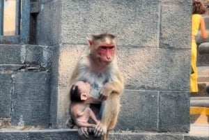 from Jaipur Same-Day Private Mumbai Tour with Elephanta Cave