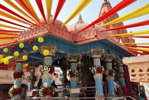 Z Jaipur: Jednodniowa wycieczka z przewodnikiem do Pushkar tego samego dnia