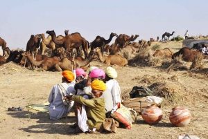 Z Jaipur: Jednodniowa wycieczka z przewodnikiem do Pushkar tego samego dnia