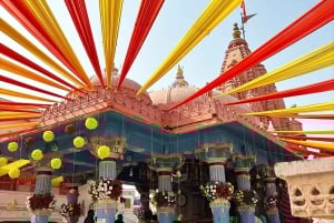 Vanuit Jaipur: Zelf begeleide dagtrip Pushkar