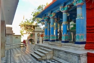 Vanuit Jaipur: Zelf begeleide dagtrip Pushkar