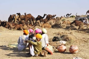 Vanuit Jaipur: Zelf begeleide dagtrip Pushkar