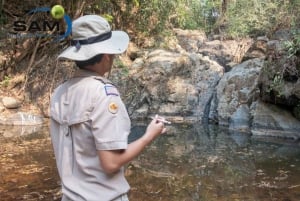 Vanuit Jaipur: Ranthambore-excursie op dezelfde dag