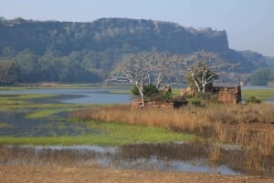 Из Джайпура: тур по сафари на тигров в Рантхамборе в тот же день