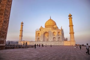 Fra Jaipur: Taj Mahal-tur samme dag med Fatehpur Sikri