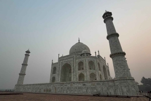 Depuis Jaipur : visite du Taj Mahal et du fort d'Agra et transfert à Delhi