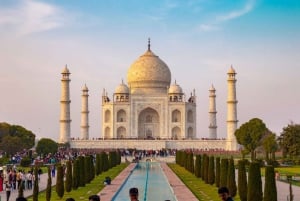 Fra Jaipur: Taj Mahal samme dag, guidet tur med bil