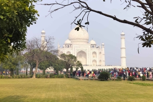 Fra Jaipur: Taj Mahal, Agra Fort, Baby Taj Dagstur i bil