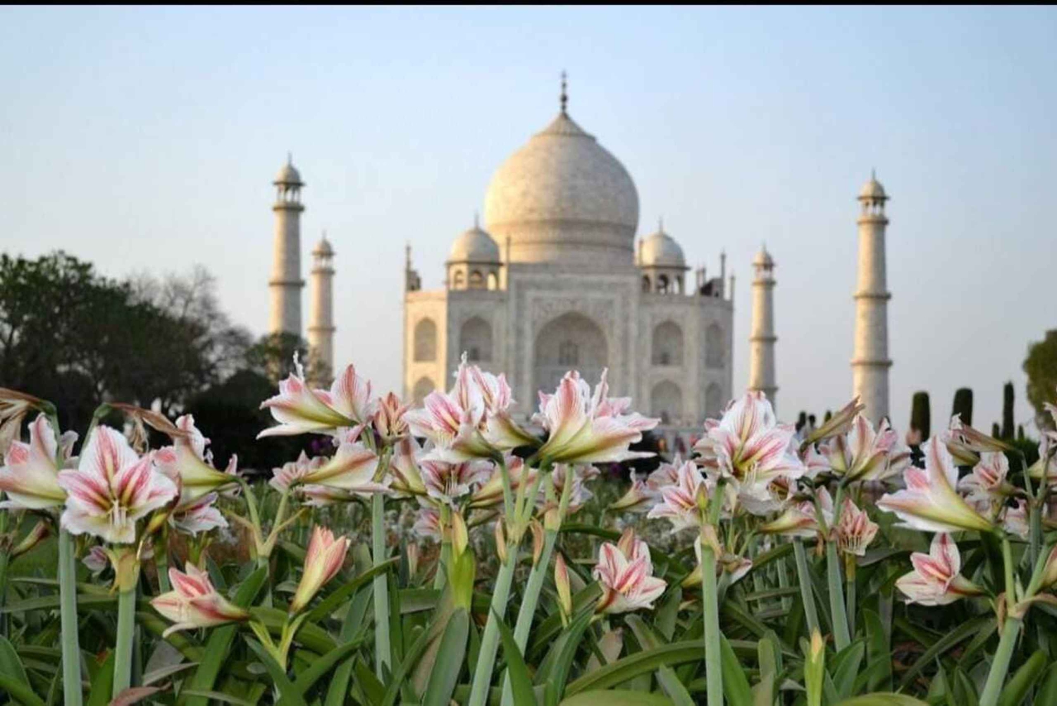 From Jaipur : Taj Mahal & Agra Fort Day Tour with Lunch