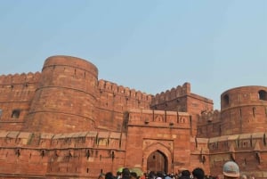 Da Jaipur : Tour di un giorno del Taj Mahal e del Forte di Agra con pranzo