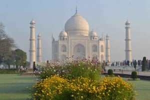 From Jaipur: Taj Mahal & Agra Private Day Trip
