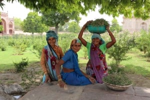 From Jaipur: Taj Mahal & Agra Private Day Trip