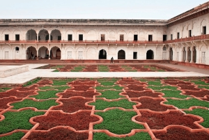 Из Джайпура: экскурсия по Тадж-Махалу и Агре на машине