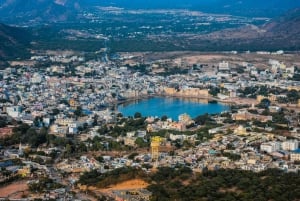 Från Jaipur: Dagsutflykt till tempelstaden Pushkar med kamelsafari