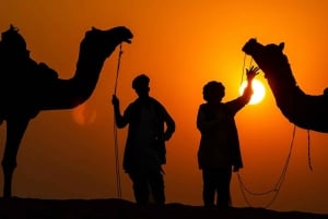 Från Jaipur: Dagsutflykt till tempelstaden Pushkar med kamelsafari