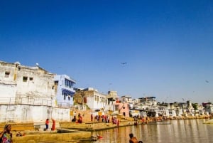 Från Jaipur: Dagsutflykt till tempelstaden Pushkar med kamelsafari