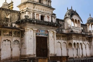 Från Jaipur: Dagsutflykt till tempelstaden Pushkar med kamelsafari