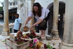 ジャイプール発：寺院の町プシュカル日帰りツアー（ラクダサファリ付き）