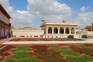 Da Kochi: 5 Giorni di Triangolo d'Oro privato Delhi Agra Jaipur